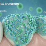 microscopic view of good bacteria for oral health in the oral microbiome